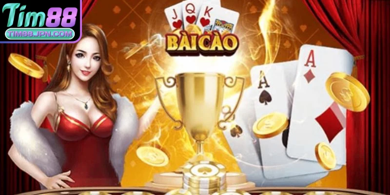 Các thuật ngữ cơ bản nhất trong bài cào online