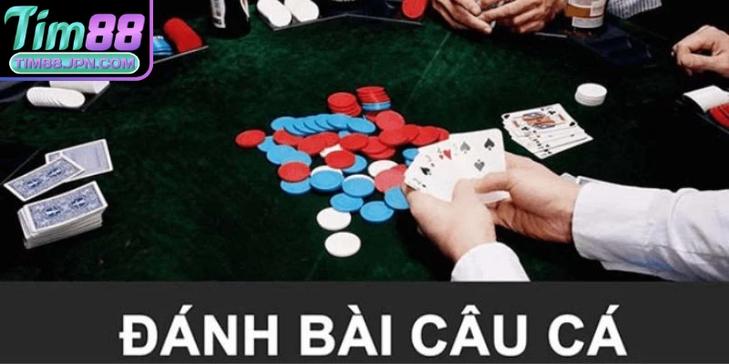 Bài câu cá là một trò chơi dân gian phổ biến tại Việt Nam, thu hút người tham gia