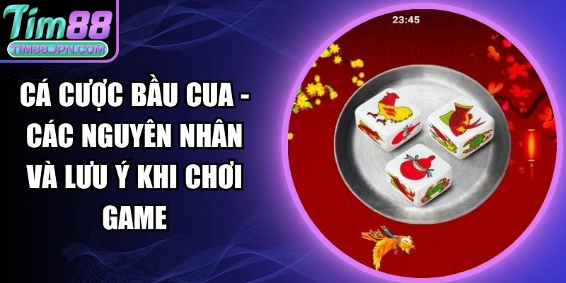 cá cược bầu cua