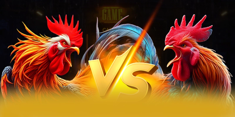 FB88 - Trang game quy tụ nhiều siêu phẩm hot 2026 FB88 - Trang game quy tụ nhiều siêu phẩm hot 2026
