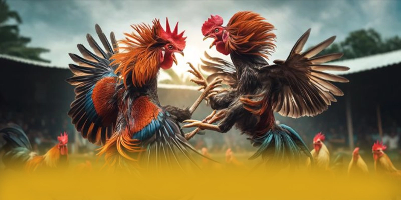 Điểm khác biệt của 8XBET so với các nhà cái khác Điểm khác biệt của 8XBET so với các nhà cái khác