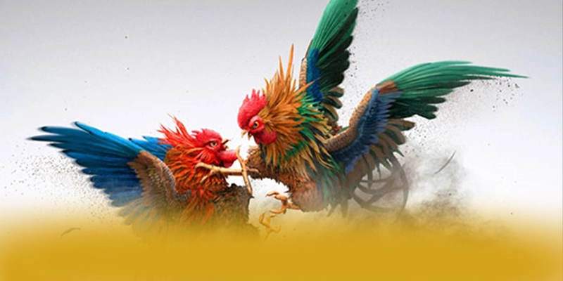 Trải nghiệm đa nền tảng cùng [THUONG_HIEU]