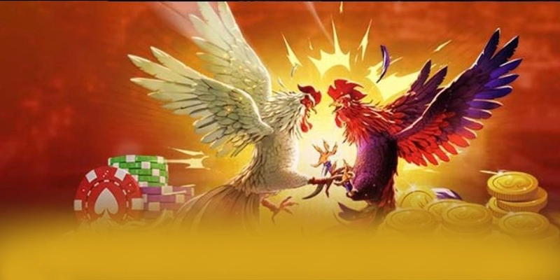 Bảo mật thông tin người dùng tại SUNWIN Bảo mật thông tin người dùng tại SUNWIN